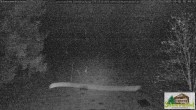 Archived image Webcam Todtnauberg - Scheuermatthof 01:00