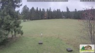 Archived image Webcam Todtnauberg - Scheuermatthof 06:00