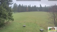 Archived image Webcam Todtnauberg - Scheuermatthof 11:00