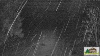 Archiv Foto Webcam Todtnauberg - Scheuermattwiese 01:00