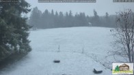 Archiv Foto Webcam Todtnauberg - Scheuermattwiese 06:00