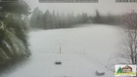 Archiv Foto Webcam Todtnauberg - Scheuermattwiese 07:00
