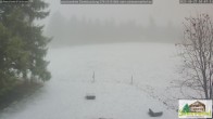 Archiv Foto Webcam Todtnauberg - Scheuermattwiese 09:00