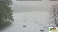 Archiv Foto Webcam Todtnauberg - Scheuermattwiese 11:00
