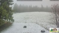 Archiv Foto Webcam Todtnauberg - Scheuermattwiese 13:00