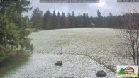 Archiv Foto Webcam Todtnauberg - Scheuermattwiese 15:00