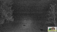 Archiv Foto Webcam Todtnauberg - Scheuermattwiese 17:00