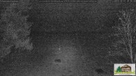 Archiv Foto Webcam Todtnauberg - Scheuermattwiese 19:00