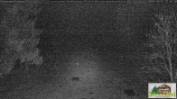 Archiv Foto Webcam Todtnauberg - Scheuermattwiese 21:00
