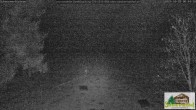 Archiv Foto Webcam Todtnauberg - Scheuermattwiese 23:00