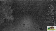 Archiv Foto Webcam Todtnauberg - Scheuermattwiese 01:00