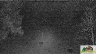 Archived image Webcam Todtnauberg - Scheuermatthof 19:00