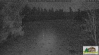 Archiv Foto Webcam Todtnauberg - Scheuermattwiese 01:00