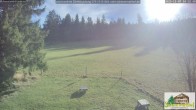 Archiv Foto Webcam Todtnauberg - Scheuermattwiese 09:00