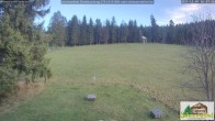 Archiv Foto Webcam Todtnauberg - Scheuermattwiese 15:00