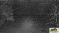 Archiv Foto Webcam Todtnauberg - Scheuermattwiese 01:00