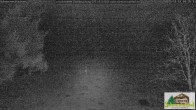 Archiv Foto Webcam Todtnauberg - Scheuermattwiese 03:00