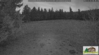 Archiv Foto Webcam Todtnauberg - Scheuermattwiese 05:00