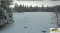 Archived image Webcam Todtnauberg - Scheuermatthof 06:00