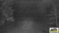 Archived image Webcam Todtnauberg - Scheuermatthof 20:00