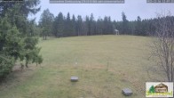 Archiv Foto Webcam Todtnauberg - Scheuermattwiese 12:00