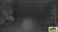 Archiv Foto Webcam Todtnauberg - Scheuermattwiese 00:00