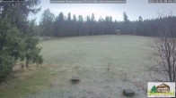 Archiv Foto Webcam Todtnauberg - Scheuermattwiese 07:00