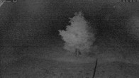 Archiv Foto Webcam Salzburger Kopf: Skipiste 01:00