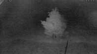Archiv Foto Webcam Salzburger Kopf: Skipiste 01:00
