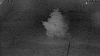 Archiv Foto Webcam Salzburger Kopf: Skipiste 23:00