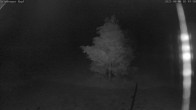 Archived image Webcam Salzburger Kopf - Ski lifts 01:00