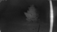 Archived image Webcam Salzburger Kopf - Ski lifts 01:00
