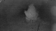 Archiv Foto Webcam Salzburger Kopf: Skipiste 02:00