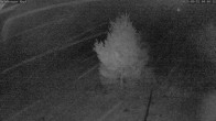 Archiv Foto Webcam Salzburger Kopf: Skipiste 03:00