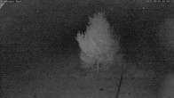 Archiv Foto Webcam Salzburger Kopf: Skipiste 01:00