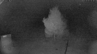 Archiv Foto Webcam Salzburger Kopf: Skipiste 01:00