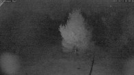 Archiv Foto Webcam Salzburger Kopf: Skipiste 01:00