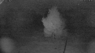 Archiv Foto Webcam Salzburger Kopf: Skipiste 03:00