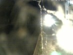 Archiv Foto Webcam Hafendorf Müritz: Kanal vom Claassee zur Müritz 23:00
