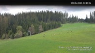 Archiv Foto Webcam Skipiste Kalte Herberge 13:00