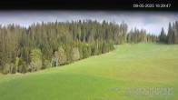 Archiv Foto Webcam Skipiste Kalte Herberge 17:00