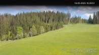 Archiv Foto Webcam Skipiste Kalte Herberge 17:00
