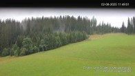 Archiv Foto Webcam Skipiste Kalte Herberge 11:00