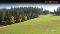 Archiv Foto Webcam Skipiste Kalte Herberge 11:00