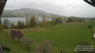 Archiv Foto Irrsee Oberösterreich: Webcam Westufer 11:00