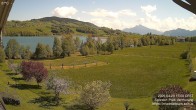 Archiv Foto Irrsee Oberösterreich: Webcam Westufer 13:00