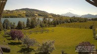 Archiv Foto Irrsee Oberösterreich: Webcam Westufer 11:00
