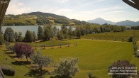 Archiv Foto Irrsee Oberösterreich: Webcam Westufer 11:00