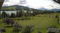 Archiv Foto Irrsee Oberösterreich: Webcam Westufer 11:00