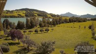 Archiv Foto Irrsee Oberösterreich: Webcam Westufer 11:00